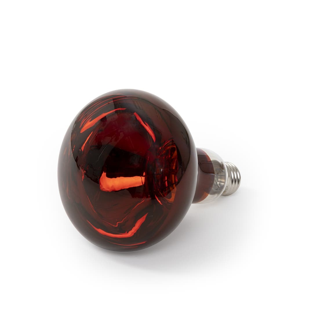 Replacement Bulb for 1019 Medusa Infrared Color Processors